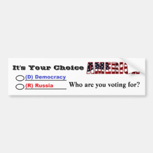 お前の選んだアメリカだ……誰の投票だ? バンパーステッカー