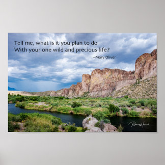 お前の野生と大切人生 ポスター