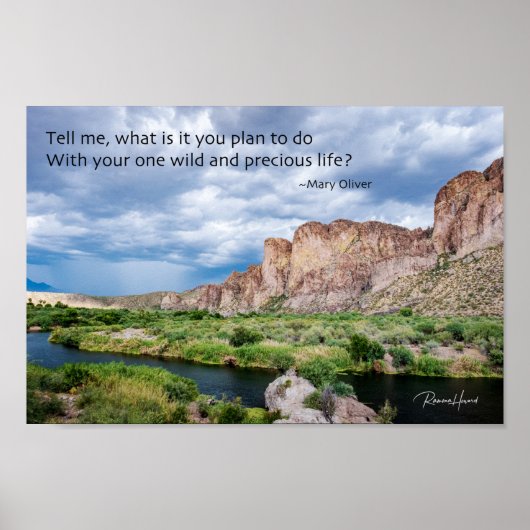 お前の野生と大切人生 ポスター (正面)