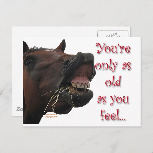 お前の馬よ感じり古おもしろいい ポストカード (正面/裏面)