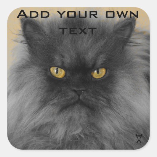 お前の… スクエアシール (正面)