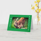 お前はそんな親愛ハッピーバースデーだ カード (黄色い花)