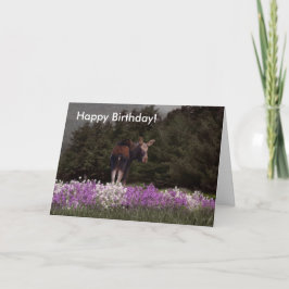 お前はムースに悩まされた!誕生日カード カード