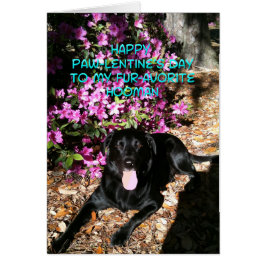 お前は俺のお気に入りのおまんバレンタインデーのカードだ