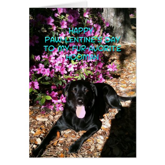 お前は俺のお気に入りのおまんバレンタインデーのカードだ (正面)