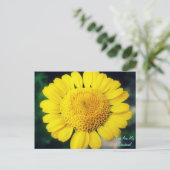 お前は俺のサンシャインだ！ ポストカード (スタンド正面)