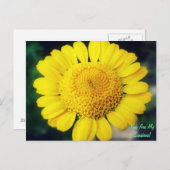 お前は俺のサンシャインだ！ ポストカード (正面/裏面)