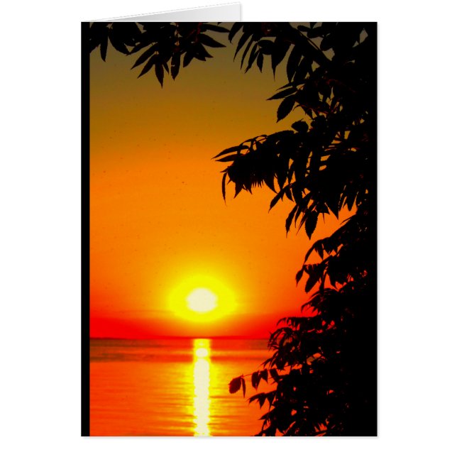 お前は俺の人生の太陽だ！ (正面)