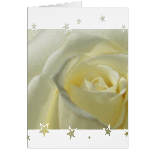 お前は俺の星だ (正面)