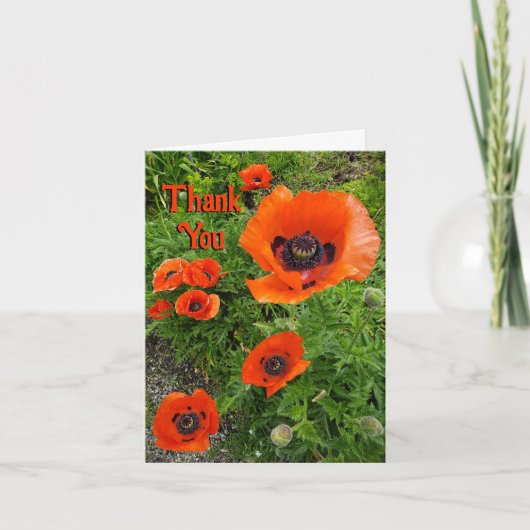 お前は喜びの種をまく サンキューカード (正面)