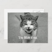 「お前は姿を外に」クラビー・キャット ポストカード (正面/裏面)