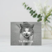 「お前は姿を外に」クラビー・キャット ポストカード (スタンド正面)