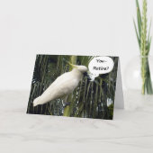 「お前は引退する」というのもそろそろだ楽しむ! カード (正面)