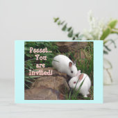 お前は招待され! 招待状 (スタンド正面)