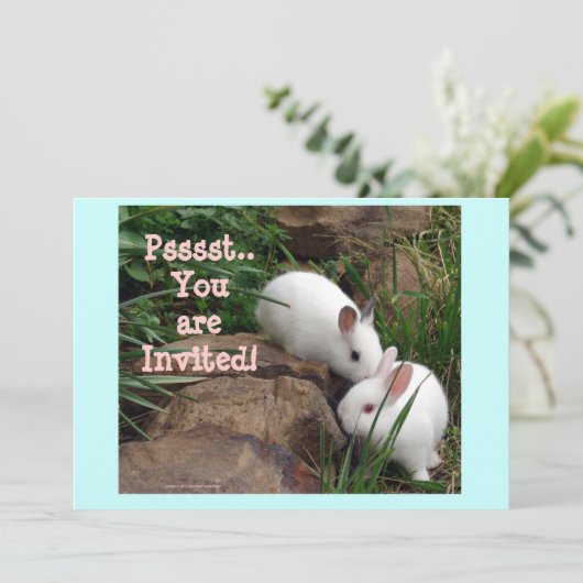 お前は招待され! 招待状 (スタンド正面)