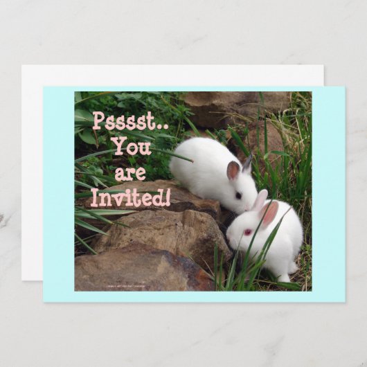 お前は招待され! 招待状 (正面/裏面)