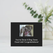 お前は犬の役に立ったな！ ポストカード (スタンド正面)