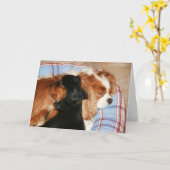 お前は癌キャリバリーキングチャールズスパニエル犬を舐める カード (黄色い花)