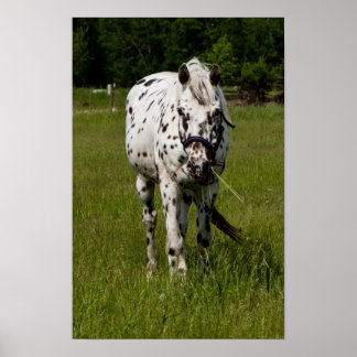 お前は見つかったな ポスター