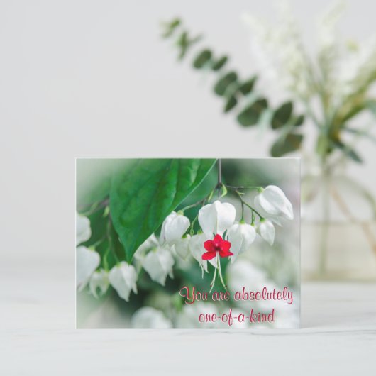 お前は親切なポストカードだ ポストカード (スタンド正面)