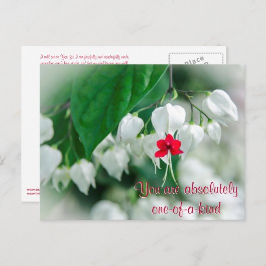 お前は親切なポストカードだ ポストカード (正面/裏面)