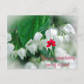 お前は親切なポストカードだ ポストカード (正面)