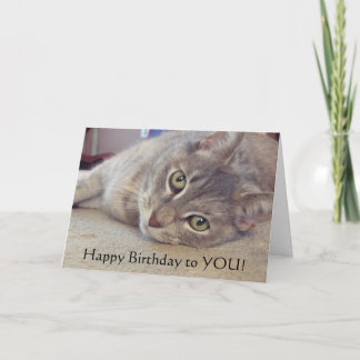 お前は…いつもお前の事だ！ カード