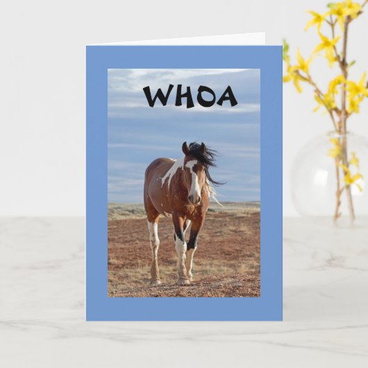 お前は**8**だ カード (黄色い花)