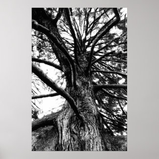 お前より背が高考えい ポスター