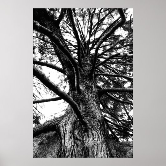 お前より背が高考えい ポスター (正面)