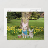 お前を愛してる奴もいる！ ポストカード (正面/裏面)