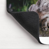 お前を捕まえる:おもしろい猫 マウスパッド (コーナー)