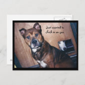 お前を見てるだけだ。 ポストカード (正面/裏面)