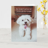 お前を見て嬉しい小さなフワフワの最高の犬が カード (黄色い花)