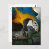 お前を見て ポストカード (正面/裏面)