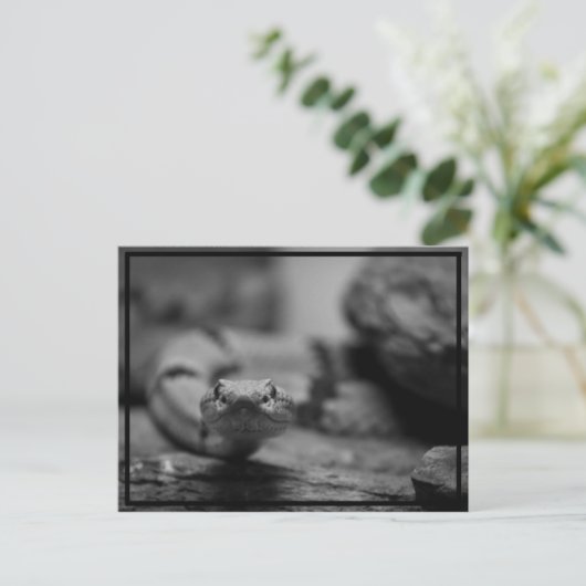 お前を見ろ！ ポストカード (スタンド正面)