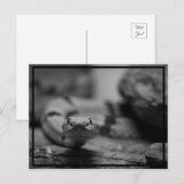 お前を見ろ！ ポストカード (正面/裏面)