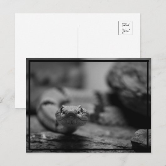 お前を見ろ！ ポストカード (正面/裏面)