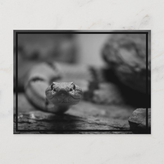 お前を見ろ！ ポストカード (正面)