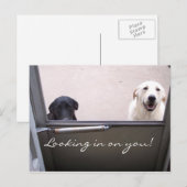 お前を見ろ！ ポストカード (正面/裏面)