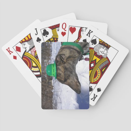 お前を追い詰めてやる！」 トランプ (裏面)