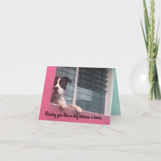 お前恋しく思は犬が好きだ カード (正面)