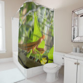 お前救済は... シャワーカーテン (インサイチュ)