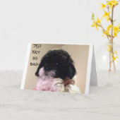 お前祝は**75**カードだ カード (黄色い花)