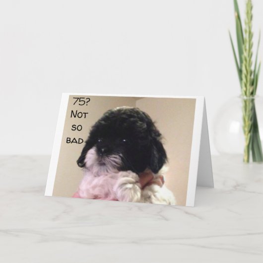 お前祝は**75**カードだ カード (正面)