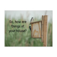 『お前考えるの鳥は？