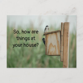 『お前考えるの鳥は？ ポストカード