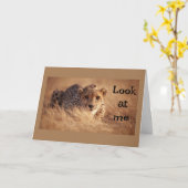 「お前」が「16」信じであるとは思えない カード (黄色い花)