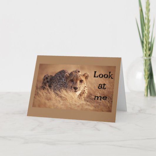 「お前」が「16」信じであるとは思えない カード (正面)