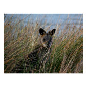 お前 ポスター (正面)